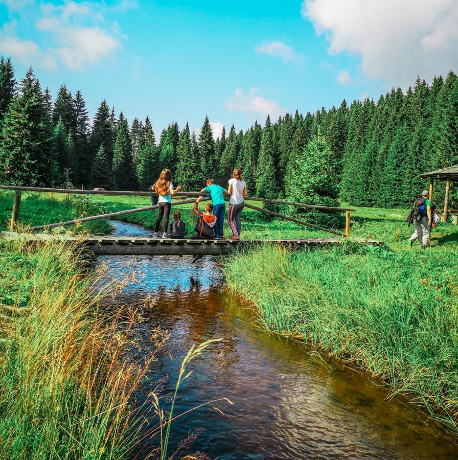 Apt In The Sky - Kopaonik Kraljevi Cardaci Exterior foto